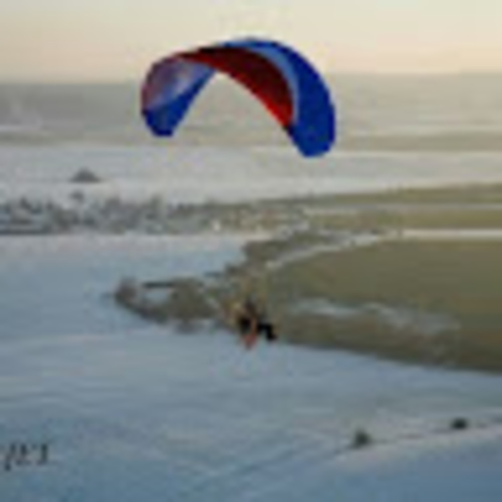 Meet your Posher, Hans